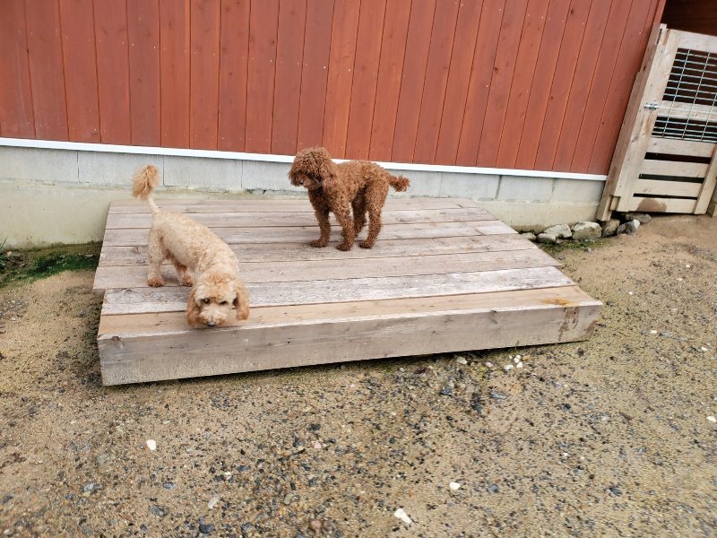 f:id:roukenhome-ann:20190831074327j:plain