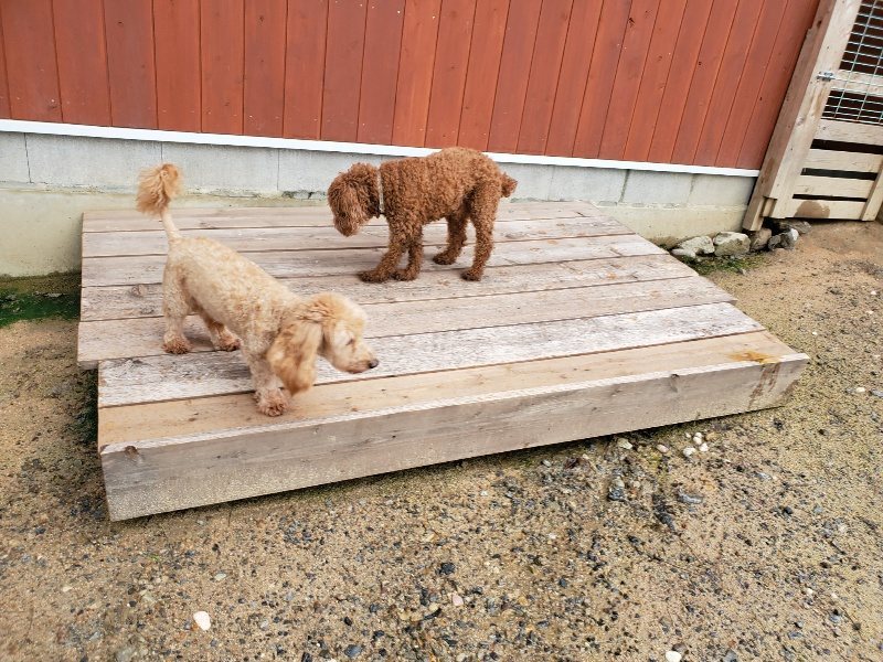 f:id:roukenhome-ann:20190831074335j:plain