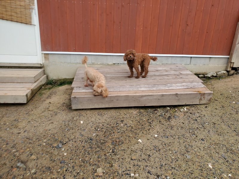 f:id:roukenhome-ann:20190831074340j:plain