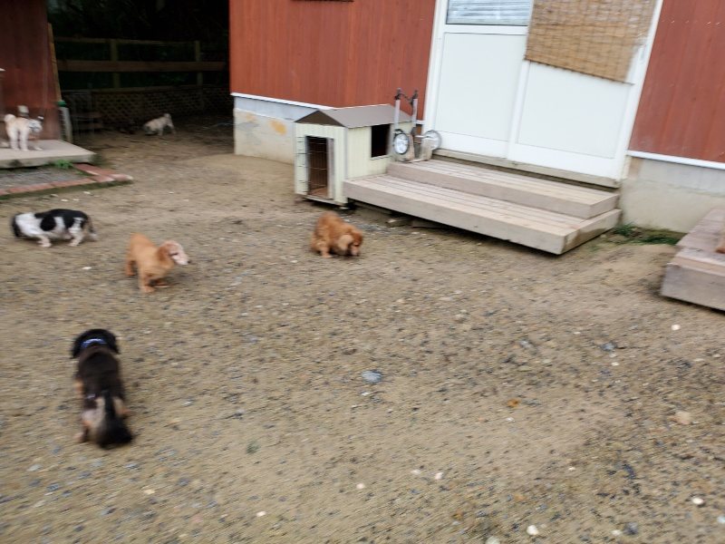 f:id:roukenhome-ann:20190831074346j:plain