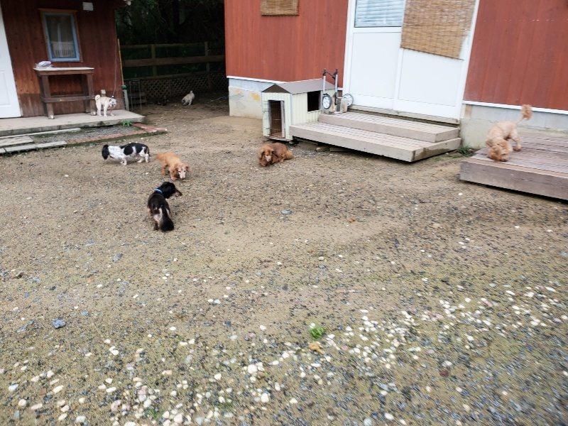 f:id:roukenhome-ann:20190831074351j:plain