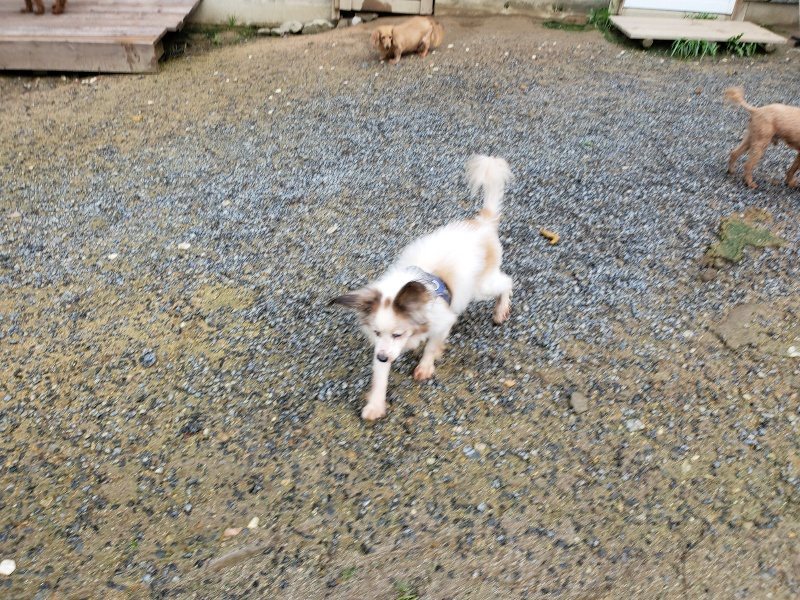 f:id:roukenhome-ann:20190831074357j:plain