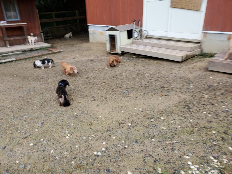 f:id:roukenhome-ann:20190831074406j:plain