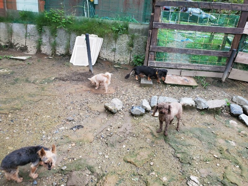 f:id:roukenhome-ann:20190831074413j:plain