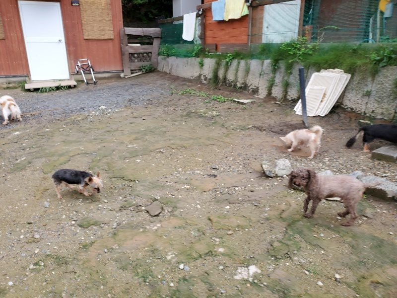 f:id:roukenhome-ann:20190831074434j:plain