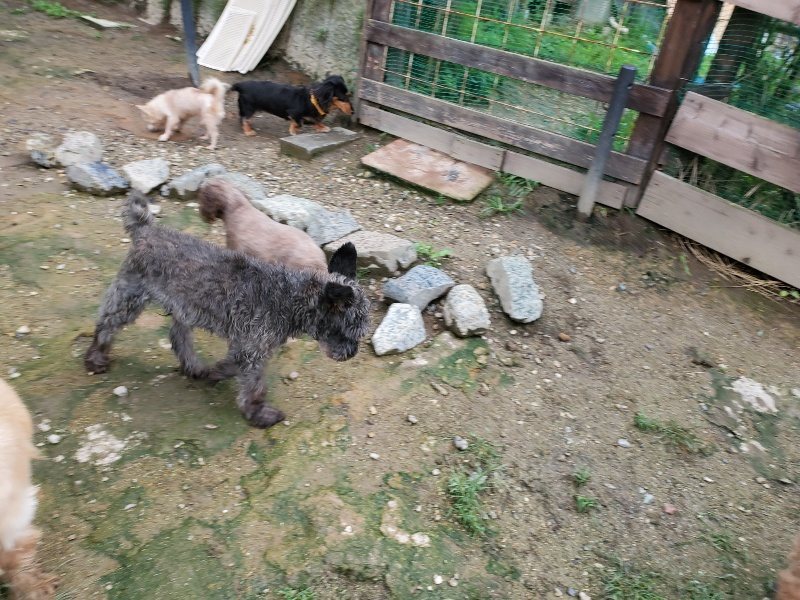 f:id:roukenhome-ann:20190831074449j:plain