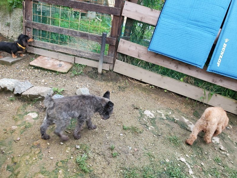 f:id:roukenhome-ann:20190831074454j:plain