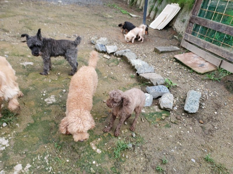 f:id:roukenhome-ann:20190831074507j:plain