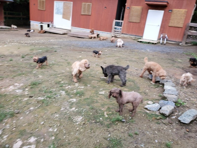 f:id:roukenhome-ann:20190831074524j:plain