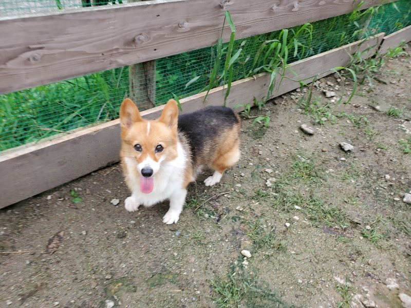 f:id:roukenhome-ann:20190831074532j:plain