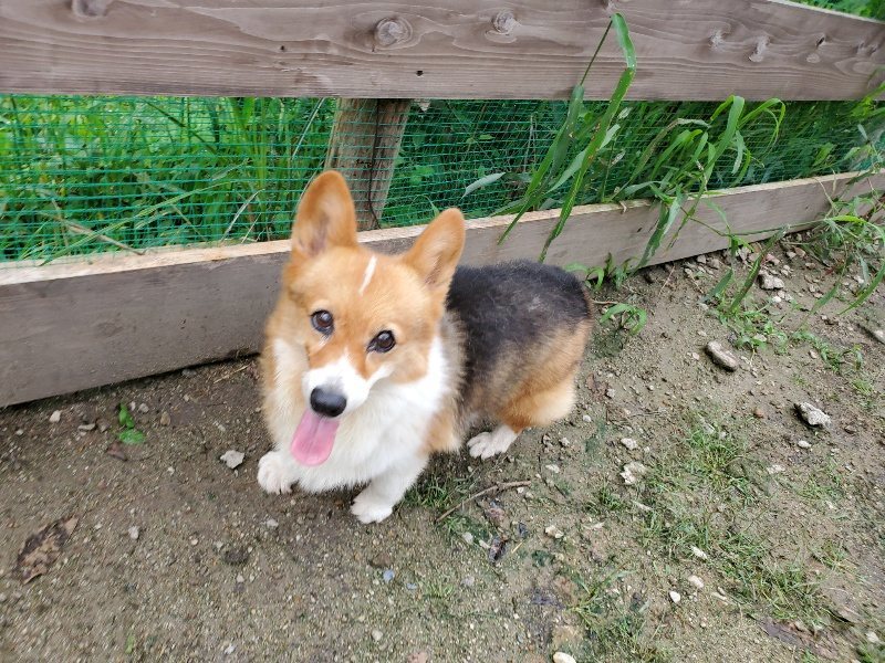 f:id:roukenhome-ann:20190831074539j:plain