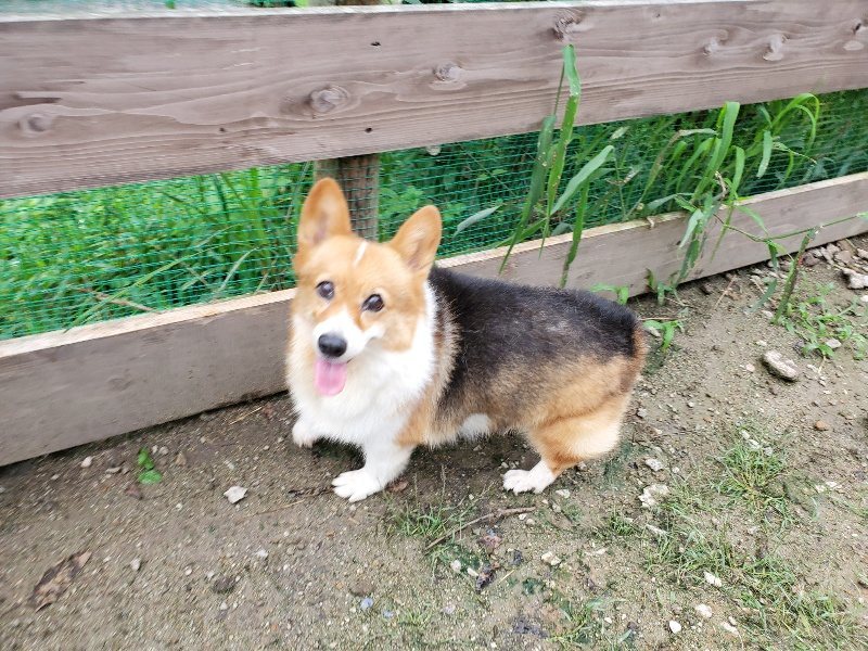 f:id:roukenhome-ann:20190831074545j:plain