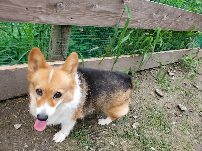 f:id:roukenhome-ann:20190831074551j:plain