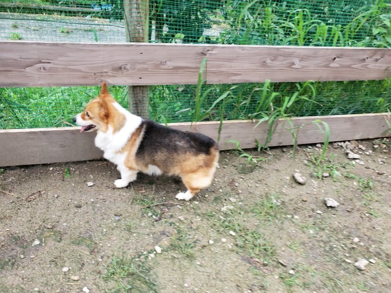 f:id:roukenhome-ann:20190831074559j:plain
