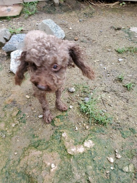 f:id:roukenhome-ann:20190831074610j:plain