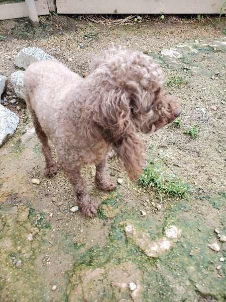 f:id:roukenhome-ann:20190831074615j:plain