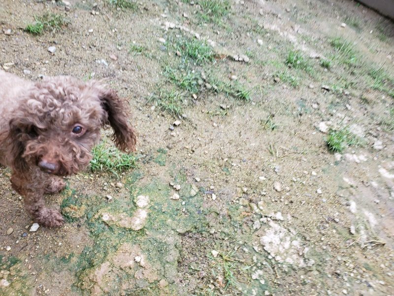 f:id:roukenhome-ann:20190831074622j:plain