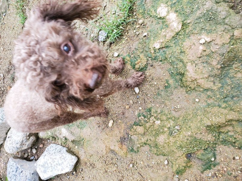 f:id:roukenhome-ann:20190831074630j:plain