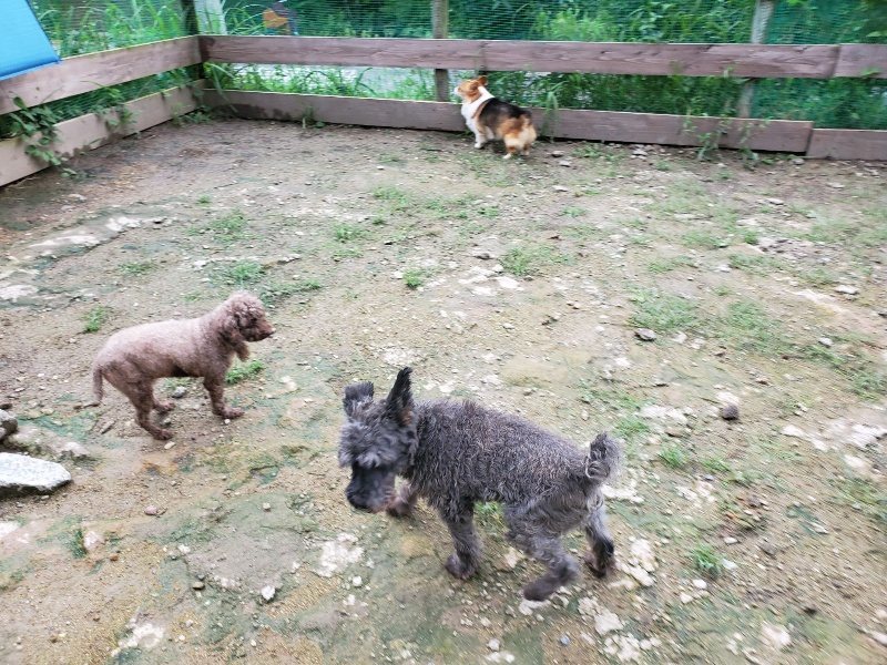 f:id:roukenhome-ann:20190831074637j:plain