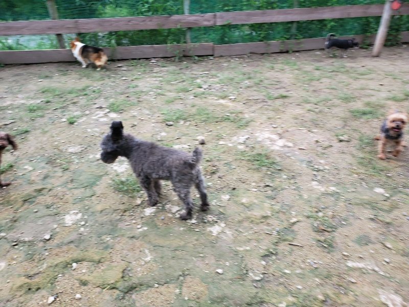f:id:roukenhome-ann:20190831074643j:plain