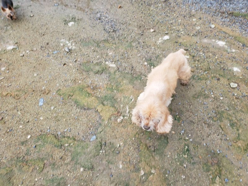 f:id:roukenhome-ann:20190831074653j:plain