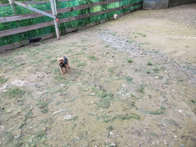 f:id:roukenhome-ann:20190831074701j:plain