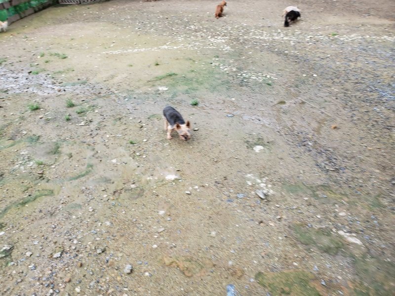 f:id:roukenhome-ann:20190831074706j:plain