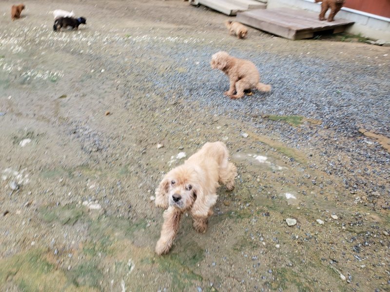 f:id:roukenhome-ann:20190831074713j:plain