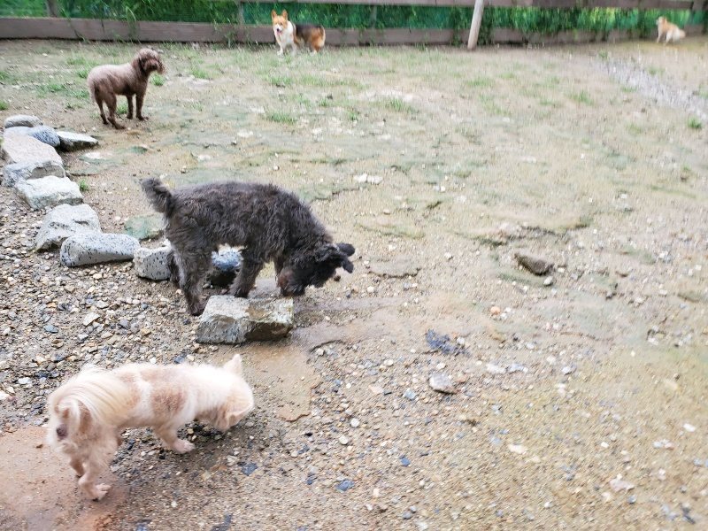 f:id:roukenhome-ann:20190831074738j:plain