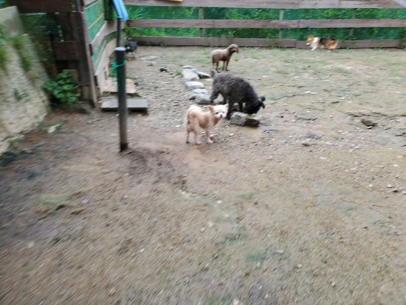 f:id:roukenhome-ann:20190831074755j:plain