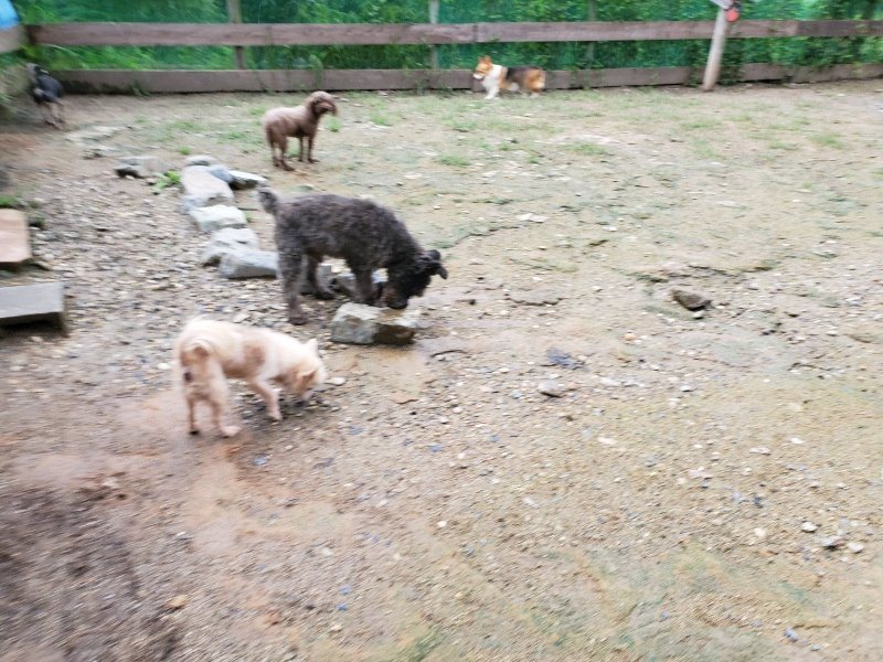 f:id:roukenhome-ann:20190831074801j:plain