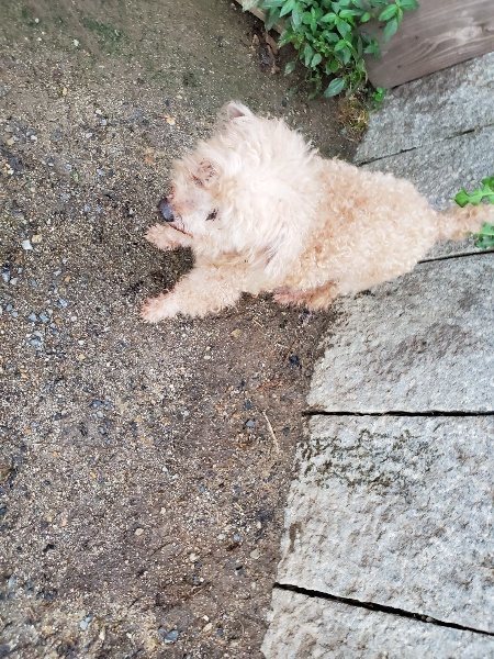 f:id:roukenhome-ann:20190831075137j:plain