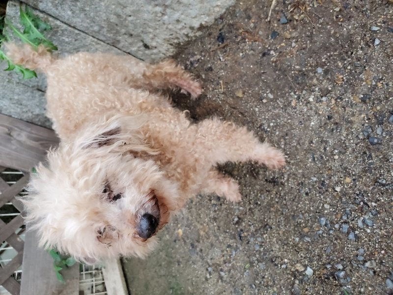 f:id:roukenhome-ann:20190831075144j:plain