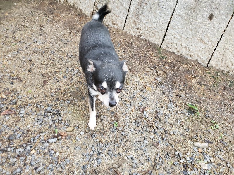 f:id:roukenhome-ann:20190831075212j:plain