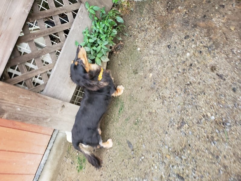 f:id:roukenhome-ann:20190831075219j:plain