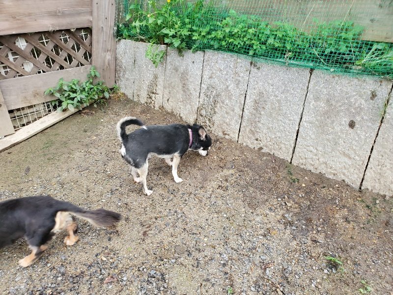 f:id:roukenhome-ann:20190831075227j:plain