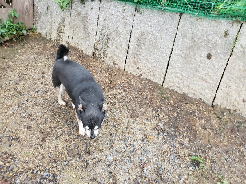 f:id:roukenhome-ann:20190831075235j:plain
