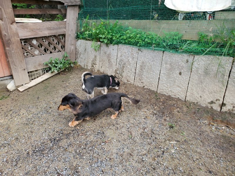 f:id:roukenhome-ann:20190831075245j:plain