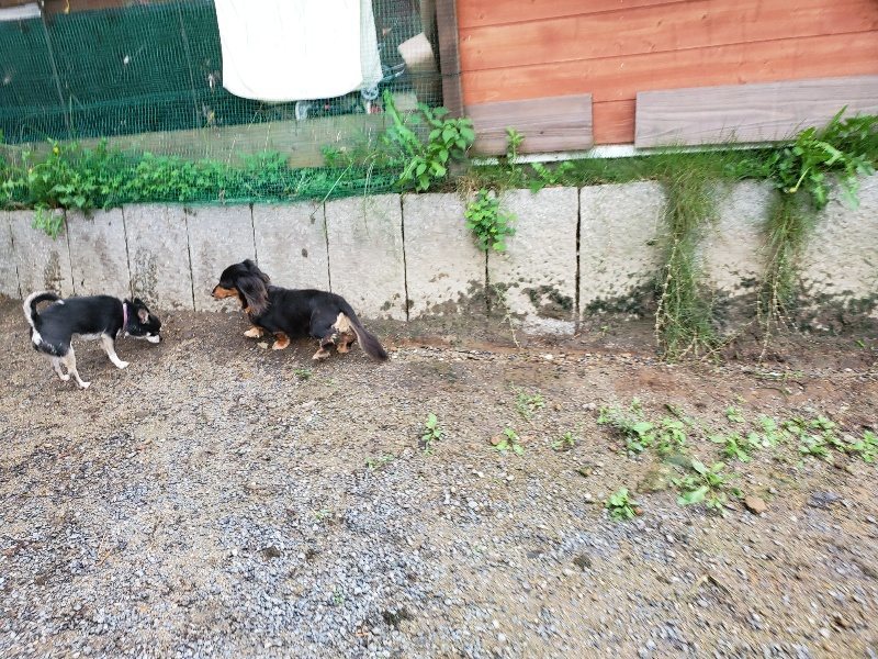 f:id:roukenhome-ann:20190831075253j:plain