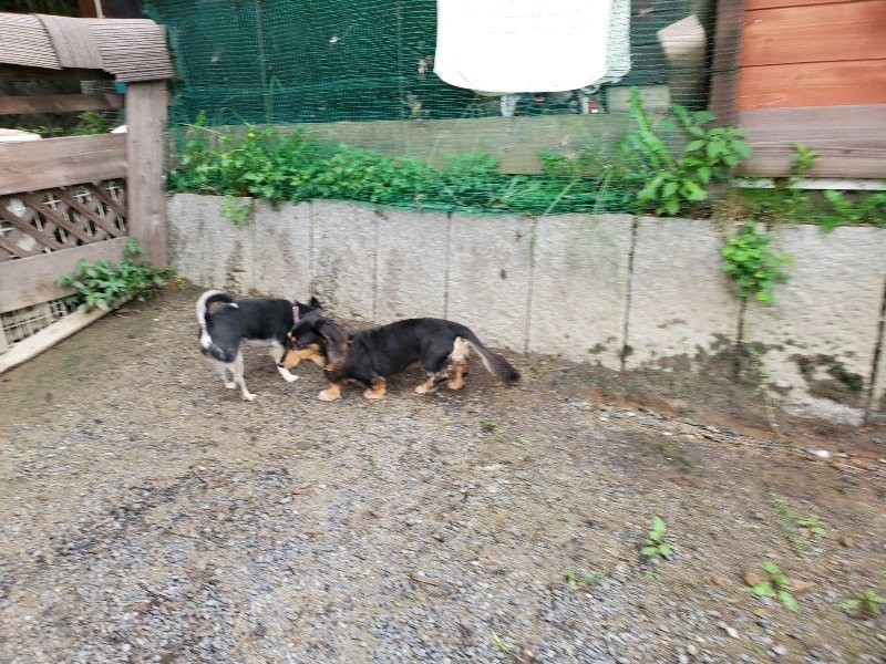 f:id:roukenhome-ann:20190831075300j:plain