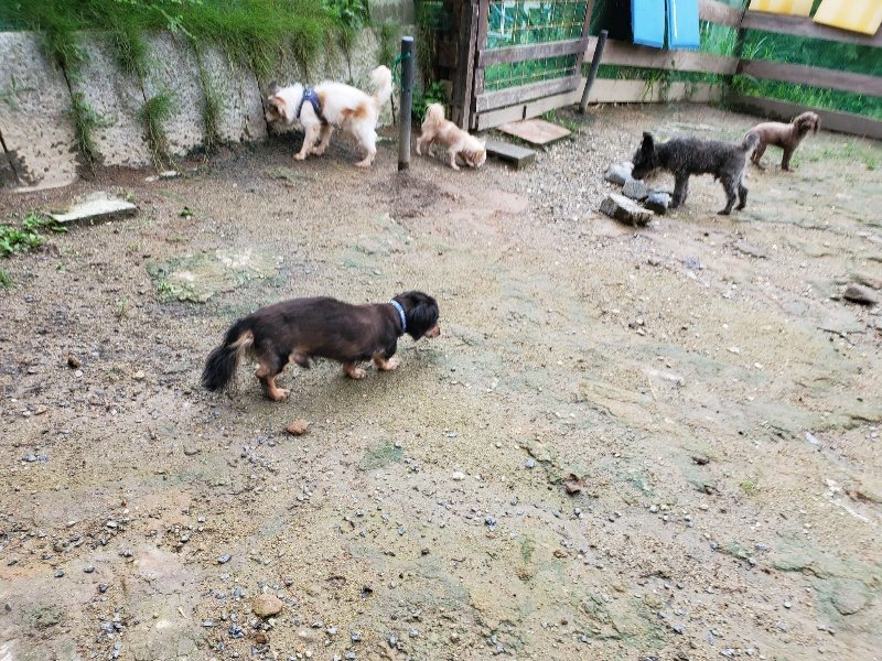 f:id:roukenhome-ann:20190831075307j:plain