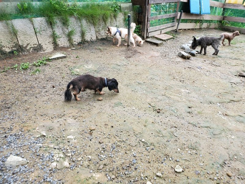 f:id:roukenhome-ann:20190831075321j:plain