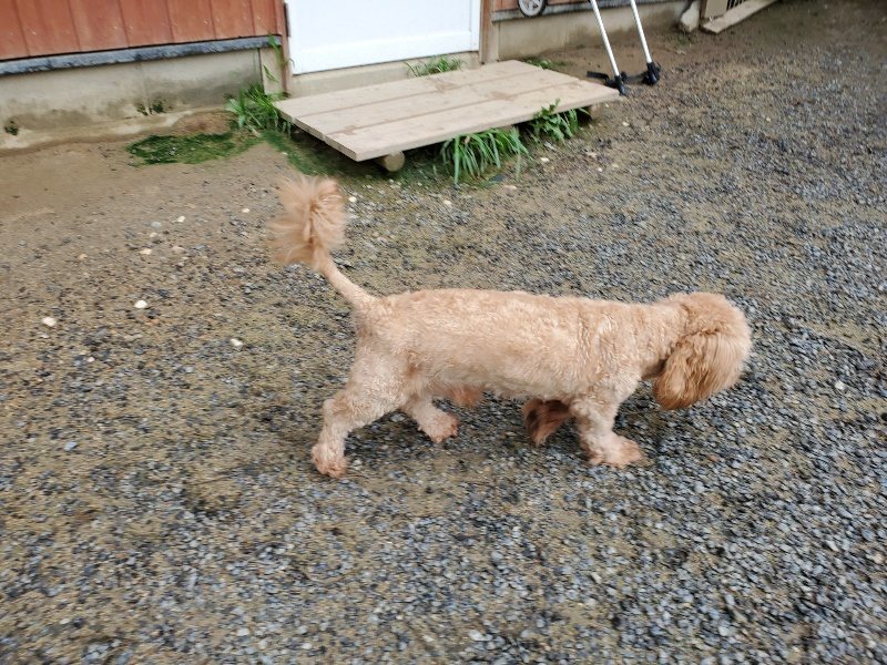 f:id:roukenhome-ann:20190831075330j:plain