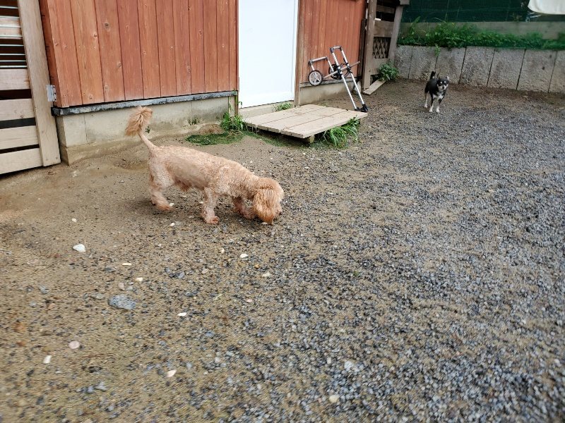 f:id:roukenhome-ann:20190831075338j:plain