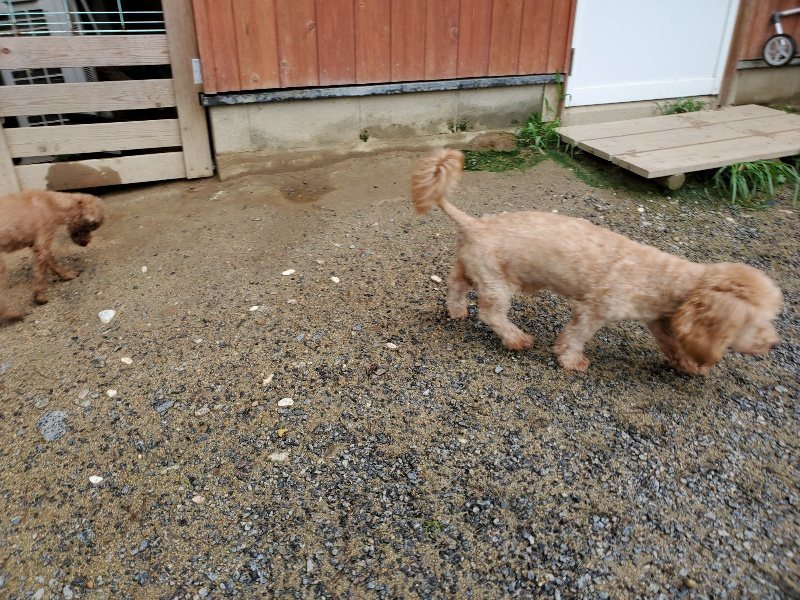 f:id:roukenhome-ann:20190831075345j:plain