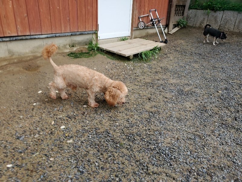 f:id:roukenhome-ann:20190831075351j:plain