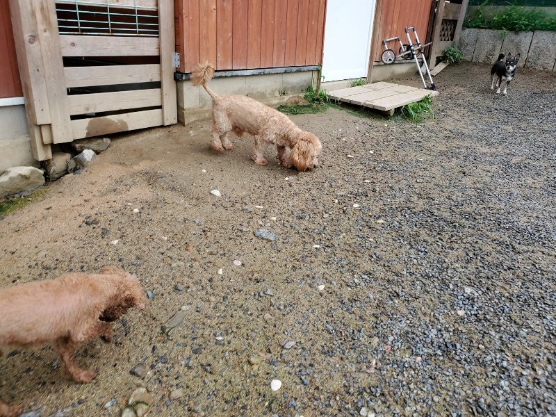 f:id:roukenhome-ann:20190831075404j:plain