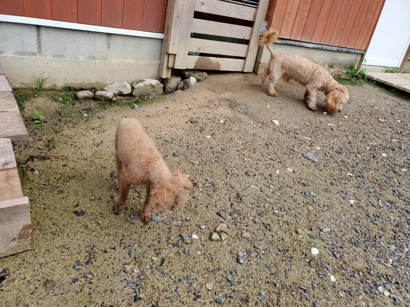 f:id:roukenhome-ann:20190831075411j:plain