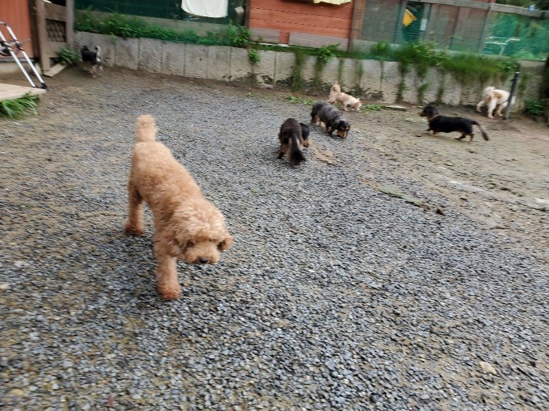 f:id:roukenhome-ann:20190831075416j:plain