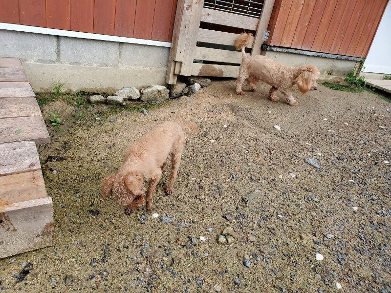 f:id:roukenhome-ann:20190831075424j:plain